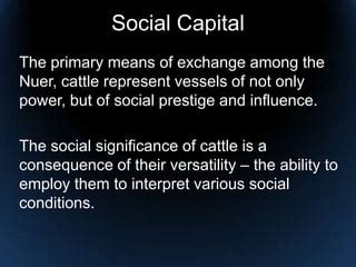 Cattle over Blood | PPT