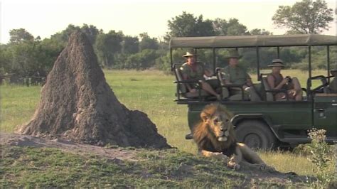 Botswana Safaris, Luxury Botswana Safari Tours - YouTube