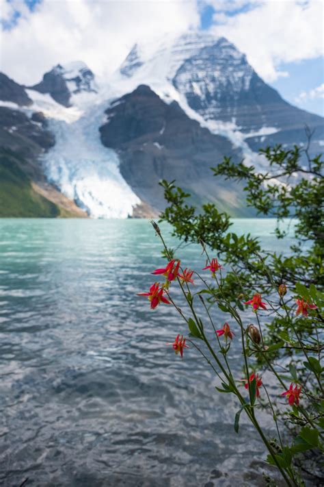 How to Hike the Berg Lake Trail in Mount Robson Provincial Park