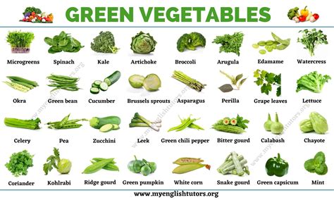 Green Vegetables: List of 31 Types of Vegetables that Have Green Color ...