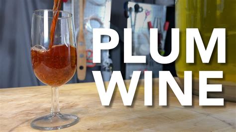 How to make Plum Wine | One gallon easy recipe start to finish - with a tasting! - YouTube