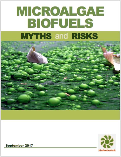 Biotechnology for Biofuels – biofuelwatch