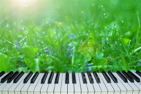 The Music of Nature. Piano Keys on a Background of Nature Stock Image ...