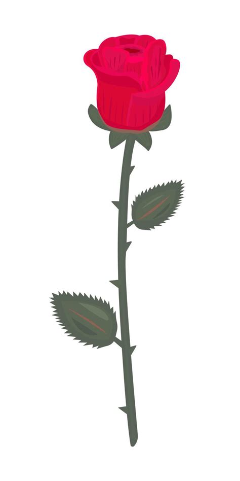 Single red rose with leaves 7751109 Vector Art at Vecteezy