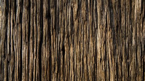 Wallpaper : bark, wood, background, texture 1920x1080 - wallup - 734059 ...