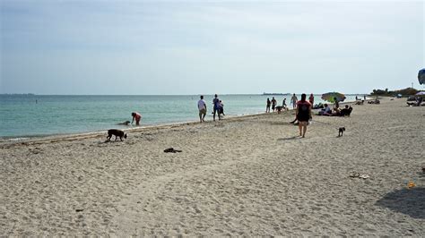 Best Pet Friendly Beaches In Florida | GoPetFriendly