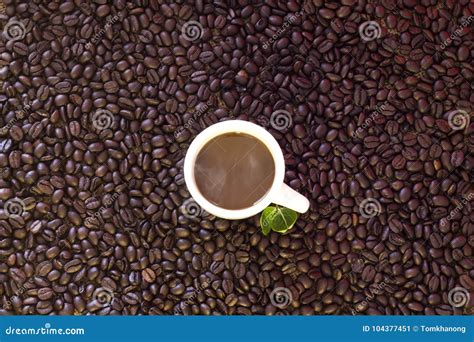 Coffee Cup on Beans Background Stock Image - Image of card, crop: 104377451