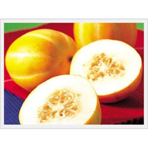 [Fruit-Vegetables] Oriental Melon for Export | Fruit | GOBIZKOREA.COM