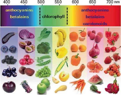 Schematic color spectrum of carotenoids, anthocyanins, betalains and ...