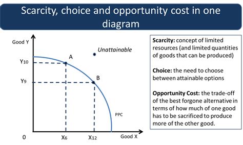 Describe the Potential Costs of Both Scarcity and Choice