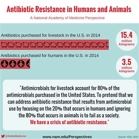 Antibiotic Resistance in Humans and Animals - National Academy of Medicine