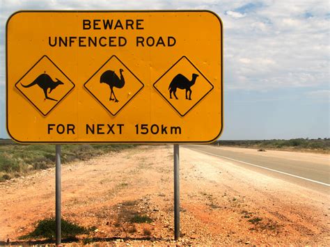 Dosiero:Australia animal warning sign.jpg - Vikipedio