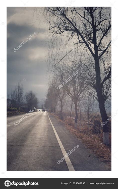 Empty Road Forest — Stock Photo © Imaginechina-Tuchong #299664856