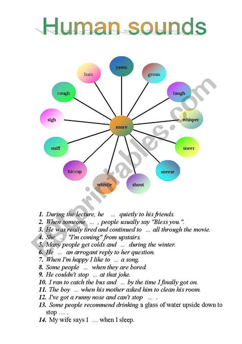 Human sounds. - ESL worksheet by Lalet