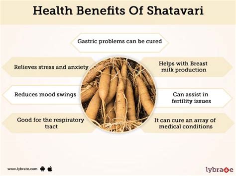 Shatavari Benefits And Its Side Effects | Lybrate