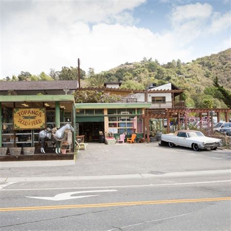 California Dreamy: The New Scene in Topanga Canyon