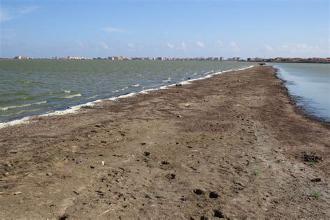 Pomorie Lake (West) | Birdingplaces