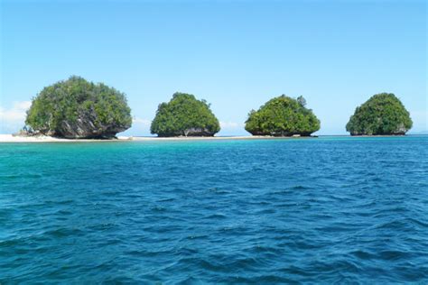 Lanuza Marine Park and Sanctuary | Travel to the Philippines