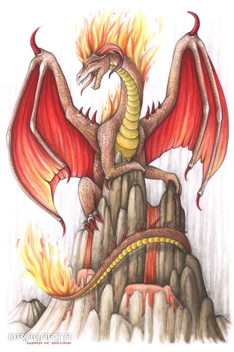 Elements - Fire Dragon by Dragarta on DeviantArt