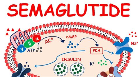 Weight Loss Injections Semaglutide Side Effects at John McCarthy blog