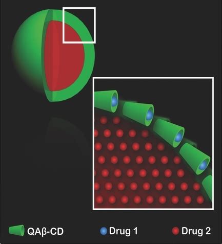 Polymer Nanoparticles Encased in a Cyclodextrin Complex Shell for Potential Site‐ and Sequence ...