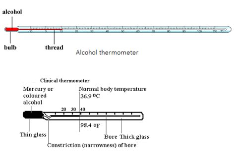 Draw a well labelled diagram of a laboratory thermometer.