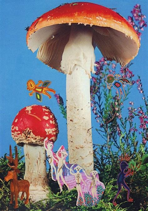 Weirdcore Mushroom Wallpaper