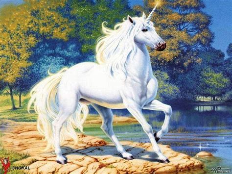 HD wallpaper: Fantasy Animals, Unicorn | Wallpaper Flare