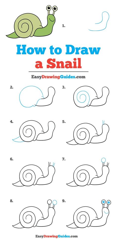 How to Draw a Snail - Really Easy Drawing Tutoria