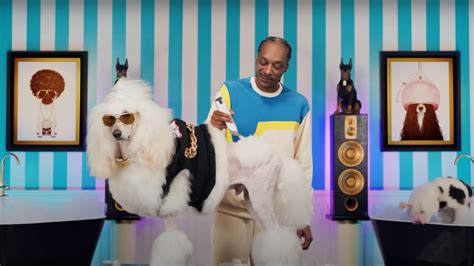 Snoop Dogg And Martha Stewart Star In Skechers Super Bowl Commercial