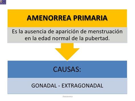 Pfd amenorrea