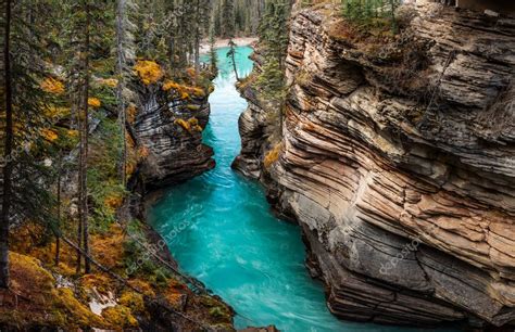 Athabasca Falls. Canada — Stock Photo © AlexeySuloev #135923460