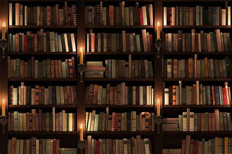 Library, Cozy Library HD wallpaper | Pxfuel