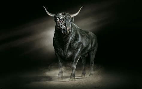 Bull images, Bulls wallpaper, Bull