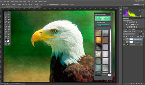 Adobe Photoshop Cloud what's New - The Canadian Nature Photographer ...