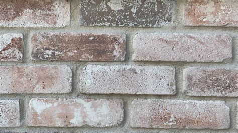 NEW STYLE BRICK VENEERS – WHITE WASHED. Thin brick veneers. – Morton Stones