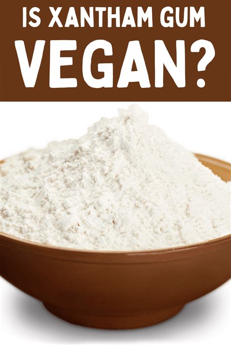 Is Xanthan Gum Vegan? - Vegetarian Mamma