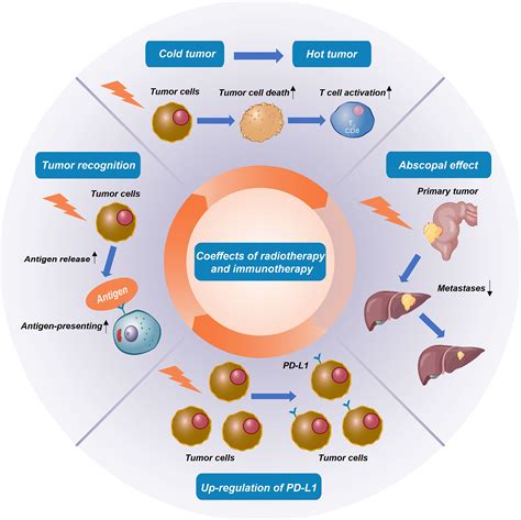 Frontiers | Radioimmunotherapy in colorectal cancer treatment: present and future