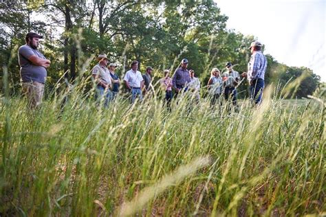 White Oak Pastures Since 1866, Grassfed Beef and Pastured Poultry