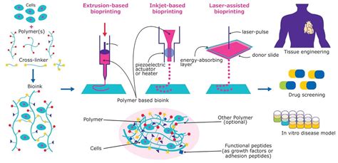 Bioink Selection for 3D Bioprinting