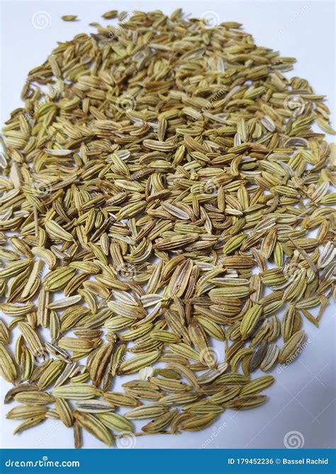 Fennel Dried Whole Seeds stock photo. Image of seeds - 179452236