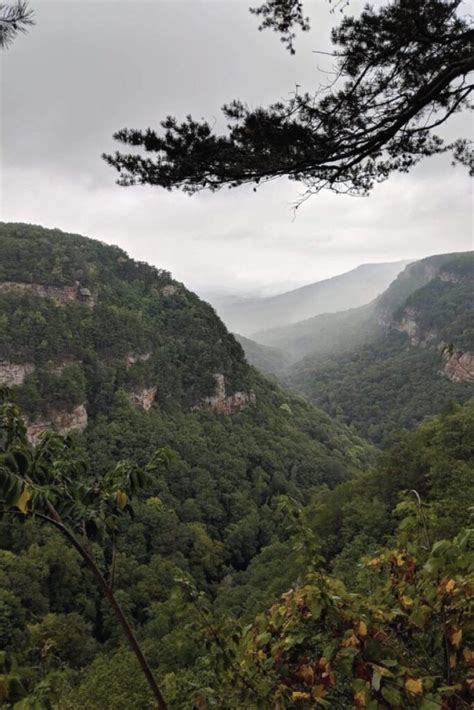 Cloudland Canyon State Park is perfect to explore on a misty morning