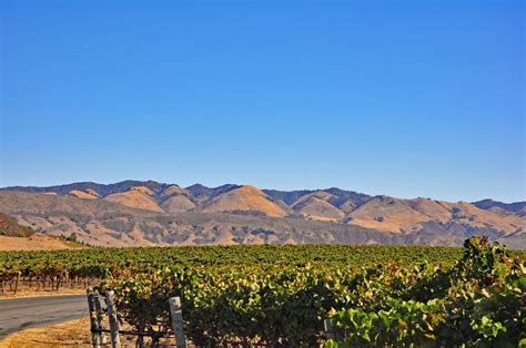 California Wine Country: Discovering the Gems of Central Coast – Real Travel Adventures