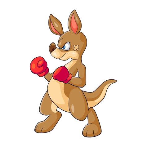 Premium Vector | Angry Kangaroo boxing isolated on white background