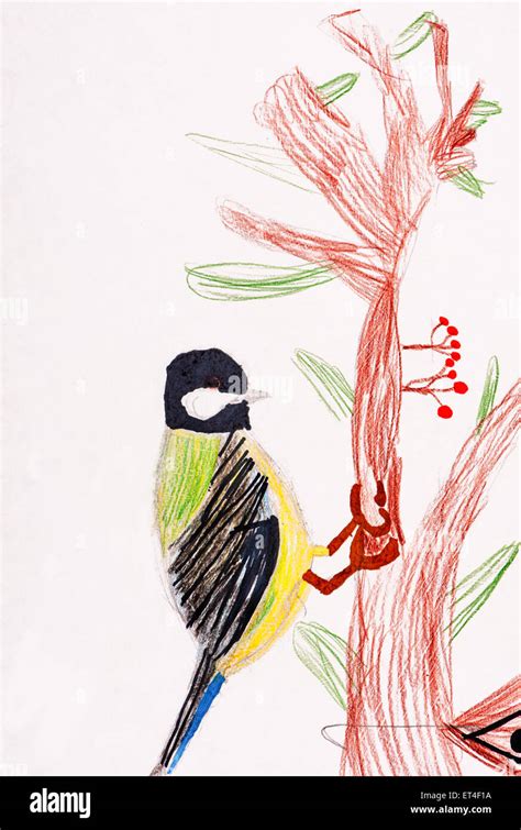 Forest wildlife child drawing hi-res stock photography and images - Alamy