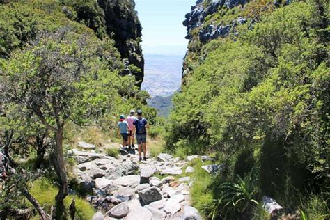 Table Mountain hiking trails - 6 amazing routes - STINGY NOMADS