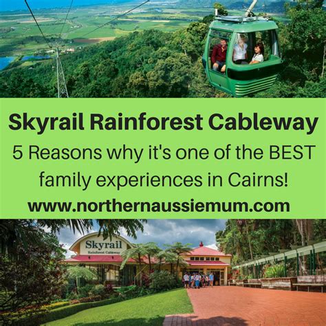 5 Reasons why Skyrail Rainforest Cableway is one of the top family adventures in Cairns ...