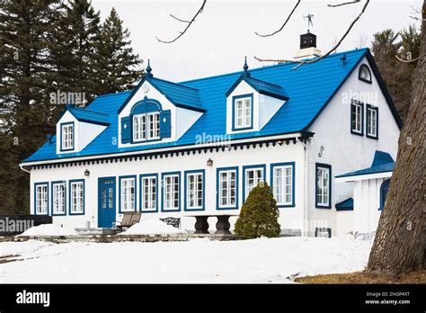 Back view of old 1920s white roughcast with blue trim cottage style house with blue steel tile ...