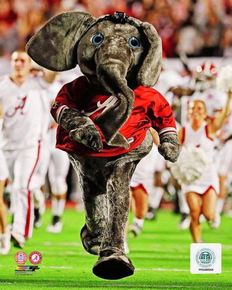 Alabama Crimson Tide Mascot | Crimson tide mascot, Alabama football, Alabama crimson tide