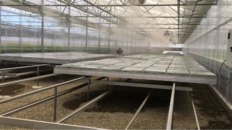 Commercial Greenhouse Manufacturer | Metal Structure | Vegetable